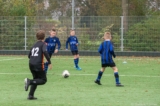 S.K.N.W.K. JO11-1jm - M.Z.C. '11 JO11-4 (competitie) 2024-2025 (2e fase) (15/29)